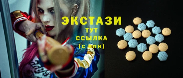 ECSTASY Армянск