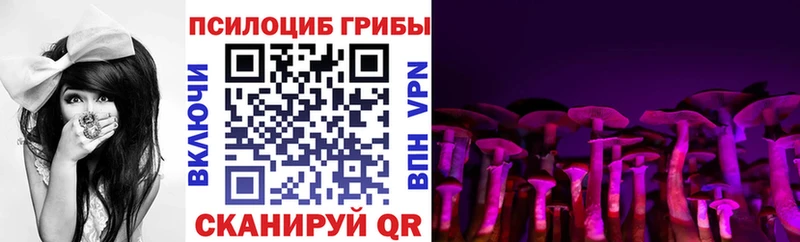 mega онион  Рыбинск  Галлюциногенные грибы Psilocybe 