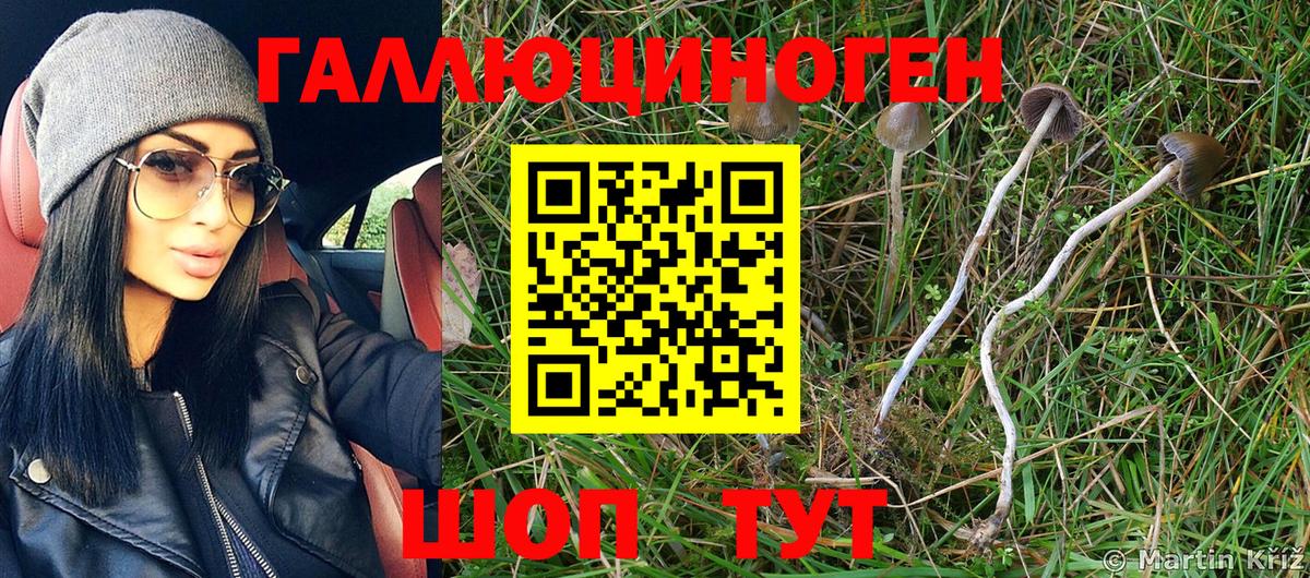 Рыбинск  Псилоцибиновые грибы MAGIC MUSHROOMS  где купить наркоту  Вход с VPN 