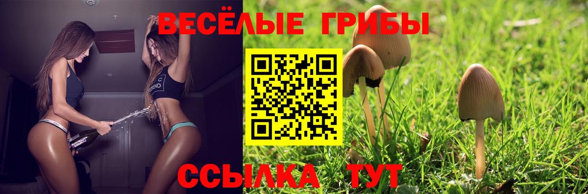Галлюциногенные грибы Cubensis Рыбинск