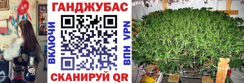 купить   Рыбинск  Марихуана сатива 