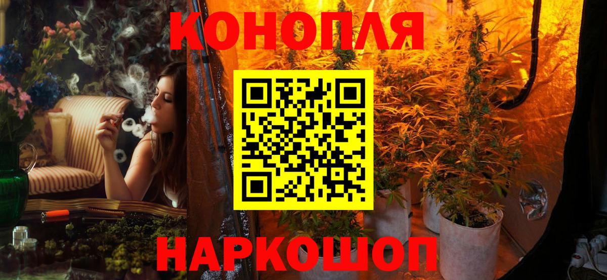 Каннабис сатива Рыбинск